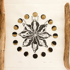 Mondblume Linoldruck - art.from.ilkas.heart  